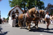 Festumzug in Maisach Bild 221