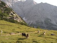 Karwendelalm, im Hintergrund das Karwendelhaus